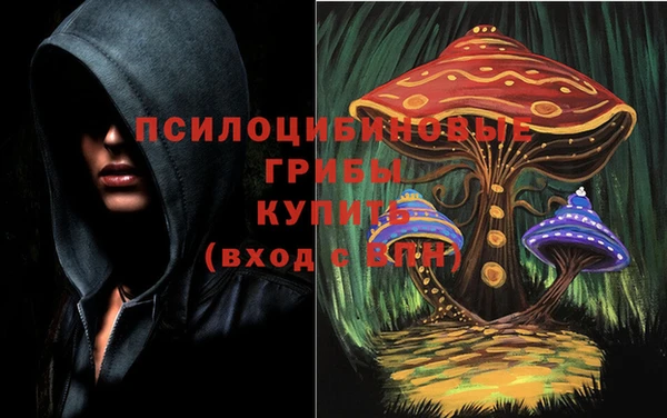 дурь Алзамай