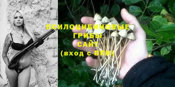 дурь Алзамай