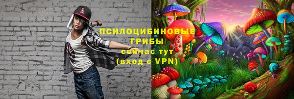 дурь Алзамай