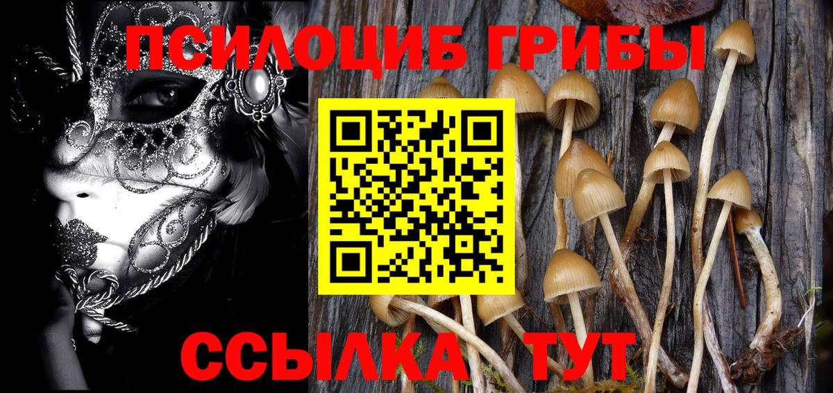 Галлюциногенные грибы мухоморы Кемерово
