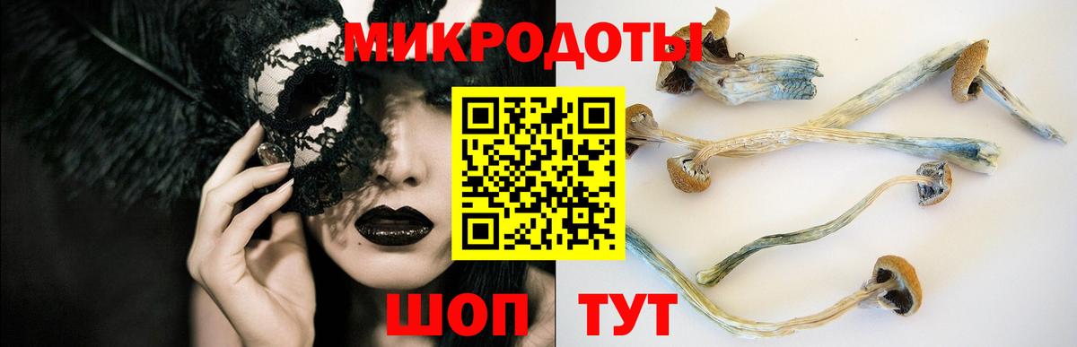 где можно купить наркотик  Галлюциногенные грибы Psilocybe  Вход с VPN  Кемерово 